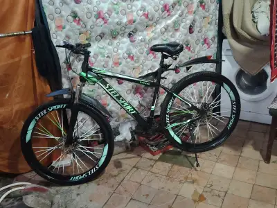 Stels Sport 29