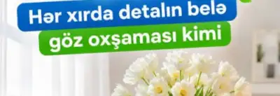 Təmizlik xidməti 