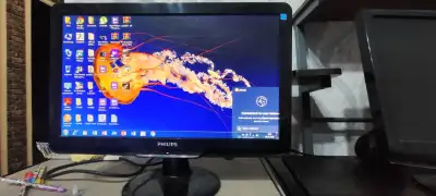 Monitor ela veziyetdedi