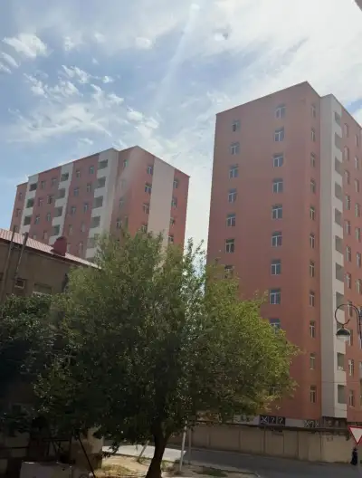 Şəkil 2
