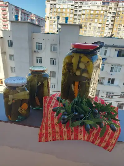 Şəkil 4