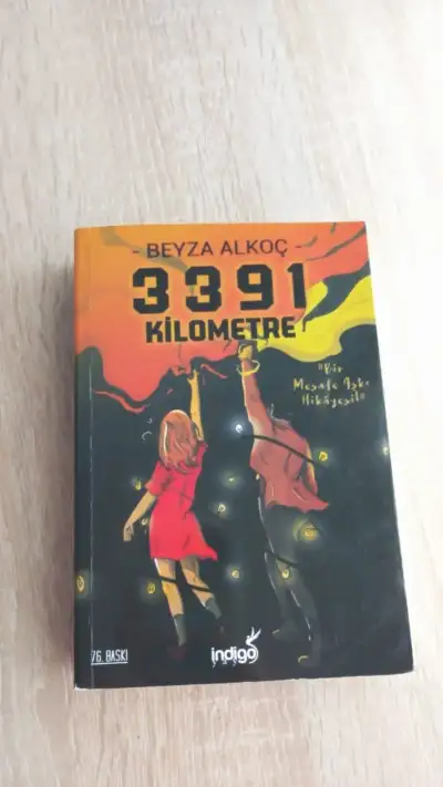 3391km 