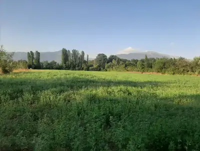İsmayıllıda həyətyanı torpaq 